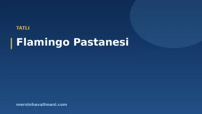 Flamingo Pastanesi