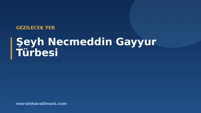 Şeyh Necmeddin Gayyur Türbesi